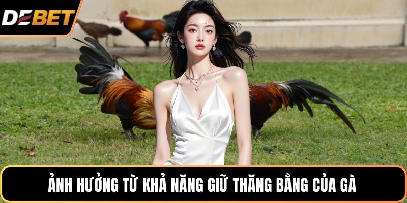 Ảnh hưởng từ khả năng giữ thăng bằng của gà