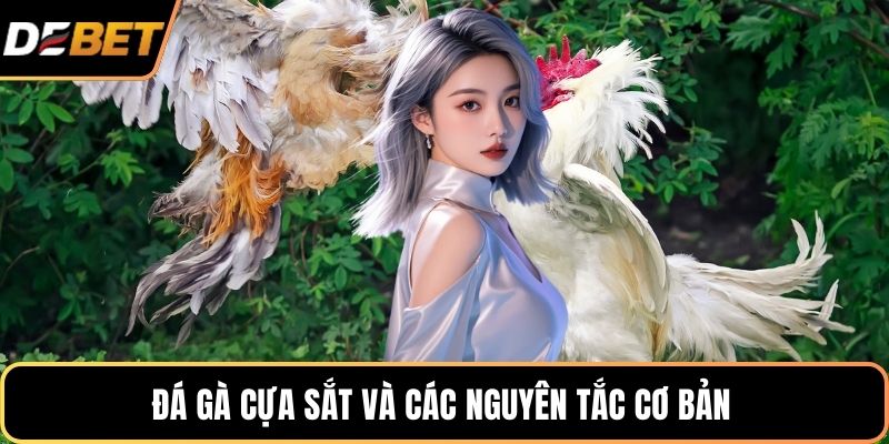 Đá gà cựa sắt và các nguyên tắc cơ bản
